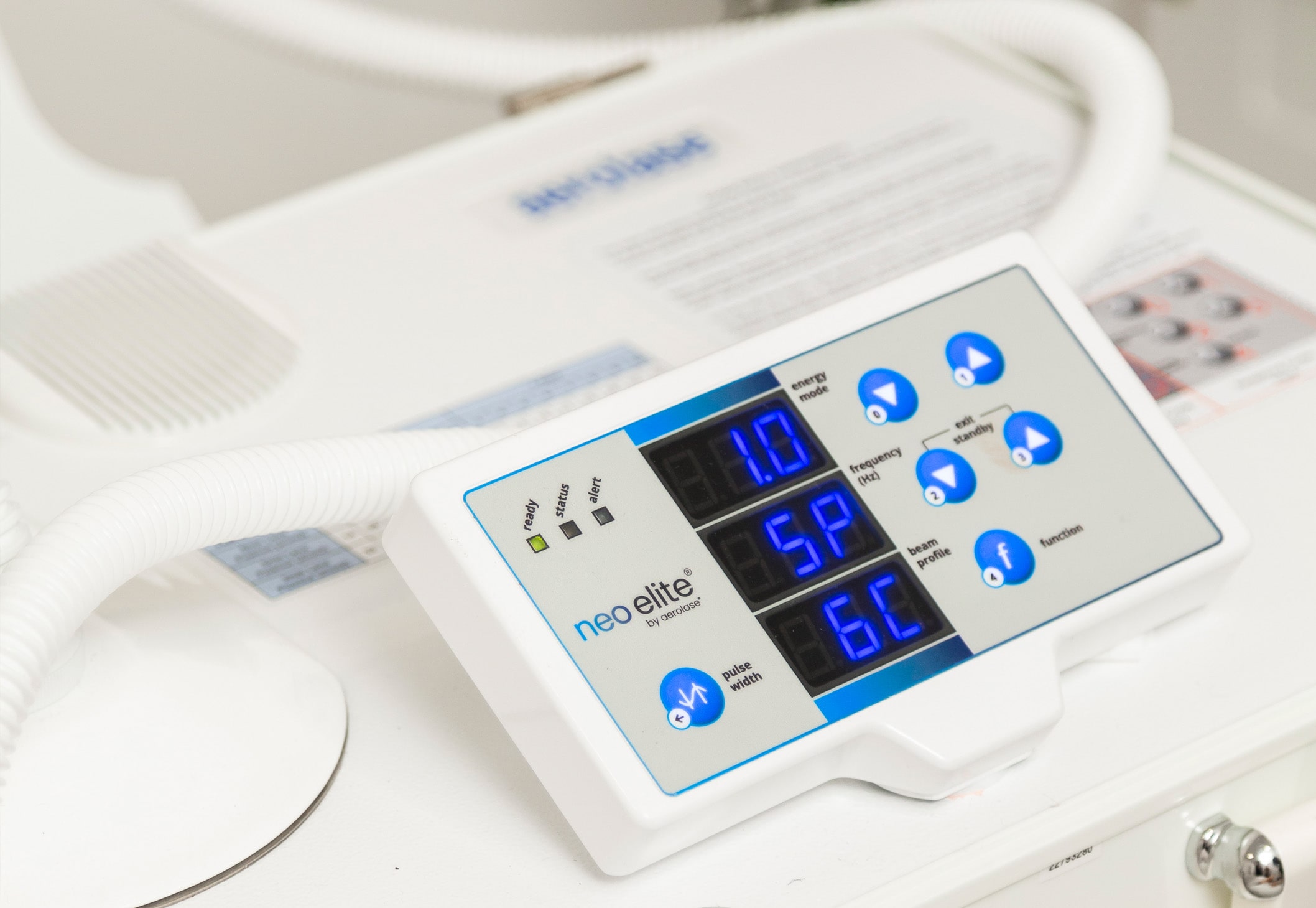 Services by Senzu Bean in Markham, ON