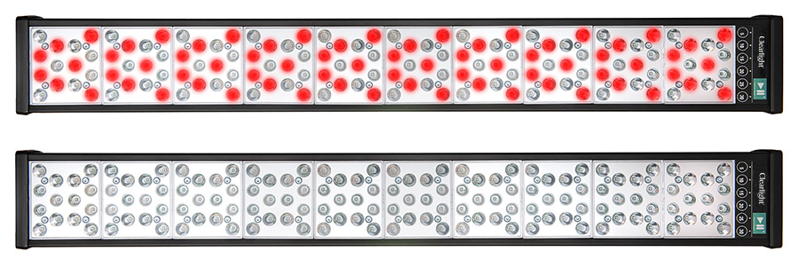 red and white light by by Senzu Bean in Markham, ON